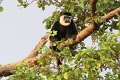 Kirawira Serena Camp, Serengeti zpad, Tanznia