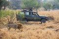 Kirawira Serena Camp, Serengeti zpad, Tanznia