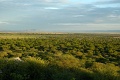 Kirawira Serena Camp, Serengeti zpad, Tanznia