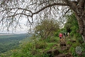 Lake Manyara Serena Safari Lodge, Mto Wa Mbu/  Lake Manyara, Tanznia