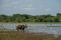 Lake Manyara Serena Safari Lodge, Mto Wa Mbu/  Lake Manyara, Tanznia