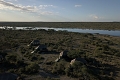 Lake Masek Tented Lodge, Ngorongoro/ Serengeti, Tanznia
