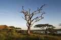 Lake Masek Tented Lodge, Ngorongoro/ Serengeti, Tanznia
