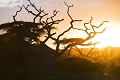Lake Masek Tented Lodge, Ngorongoro/ Serengeti, Tanznia