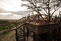 Lake Ndutu Luxury Tented Lodge, Ndutu, Tanznia