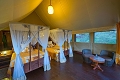 Lake Ndutu Luxury Tented Lodge, Ndutu, Tanznia