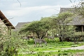Lake Ndutu Luxury Tented Lodge, Ndutu, Tanznia