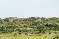 Lake Ndutu Luxury Tented Lodge, Ndutu, Tanznia