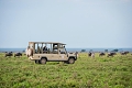 Lake Ndutu Luxury Tented Lodge, Ndutu, Tanznia