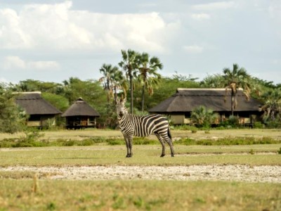ubytovanie Maramboi Tented Camp, Tarangire  