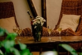 Outpost Lodge, Arusha, Tanznia