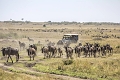 Outpost Lodge, Arusha, Tanznia
