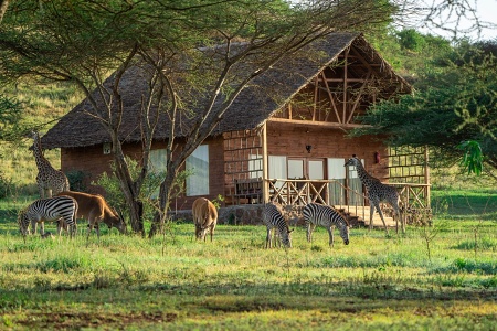 Serval Wildlife Sanctuary, Engare Nairobi, Tanznia