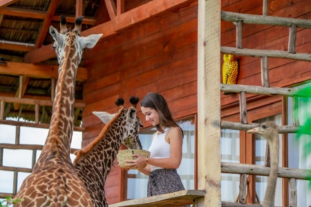 Serval Wildlife Sanctuary, Engare Nairobi, Tanznia