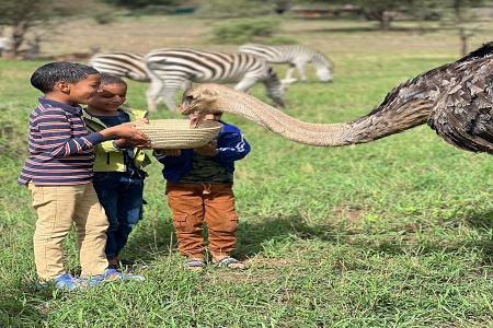 Serval Wildlife Sanctuary, Engare Nairobi, Tanznia