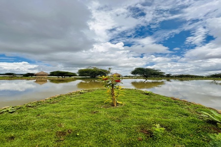 Serval Wildlife Sanctuary, Engare Nairobi, Tanznia