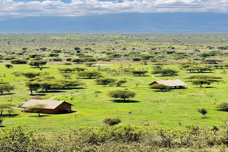 Serval Wildlife Sanctuary, Engare Nairobi, Tanznia