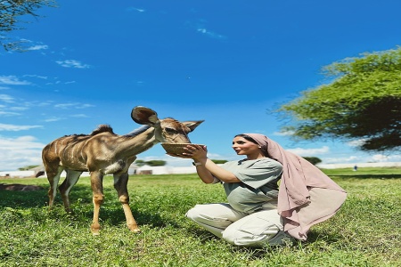 Serval Wildlife Sanctuary, Engare Nairobi, Tanznia