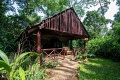 Kibale Forest Kemp, Kibale, Uganda