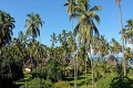 Ocean Paradise Resort & Spa,  Pwani Mchangani 