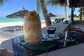 Waikiki Zanzibar Resort, Pwani Mchangani, Zanzibar