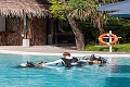 Finolhu Resort, Baa Atoll, Maldivy