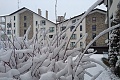 Hotel Saint George Palace, Bansko