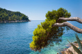 Hotel Albatros, Cavtat
