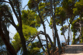 Hotel Albatros, Cavtat