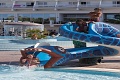 Hotel Olympia, Vodice