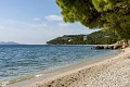Hotel Alga, Tuepi