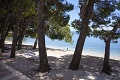 Hotel Alga, Tuepi