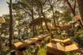 Hotel Dalmacija, Makarska