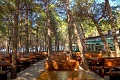 Bluesun Hotel Elaphusa, Bol