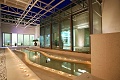 Bluesun Hotel Elaphusa, Bol