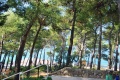 Hotel Marina, Brela