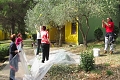 Apartmny Medena, Trogir