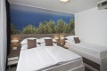 Hotel Neptun, Tuepi