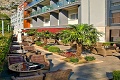 Hotel Plaa, Omi