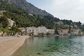 Hotel Pleter, Mimice