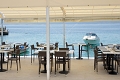 Hotel Pleter, Mimice