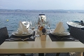 Hotel Pleter, Mimice