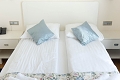 Hotel Pleter, Mimice