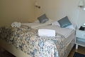 Hotel Pleter, Mimice