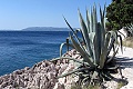 Apartmny Villa Nizi, Makarska