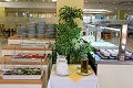 Hotel Adria, Biograd na Moru