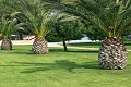 Hotel Falkensteiner Funimation Club Borik, Zadar