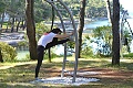Hotel & Resort Crvena Luka, Biograd na Moru