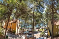 Apartmny Zelena Punta, Kukljica