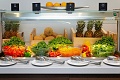 Apartmny Belvedere, Vrsar